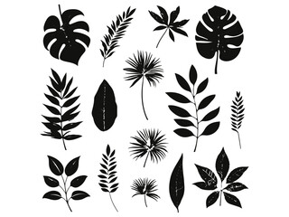creating art inspired by black and white leaves, exploring the subtleties of black and white plant, illustrating the intricacy of monochromatic leaves, capturing the grace of monochromatic plant.