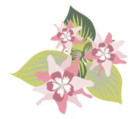 Tropical flowers with leaves in flat design. Blooming fuchsia or orchids. Vector illustration isolated.