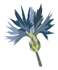 Blue cornflower head on twig in flat design. Blooming flower closeup. Vector illustration isolated.