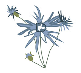 Abstract blue flowers on twig in flat design. Blooming cornflower bush. Vector illustration isolated.