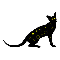 Mystical Cat Magic Illustration