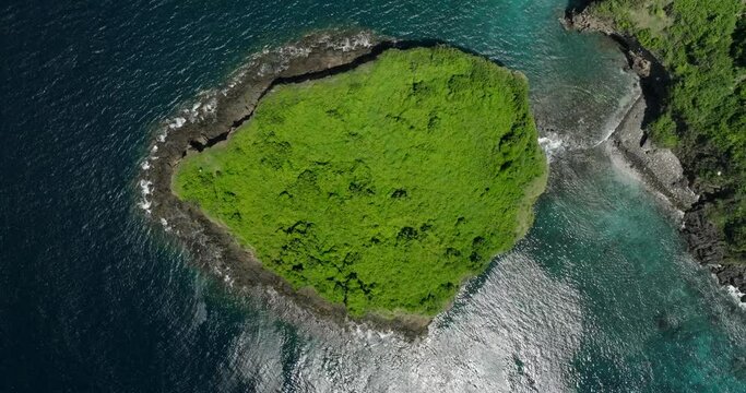 Isolated island with lush greenery surrounded by water and fluvial landforms