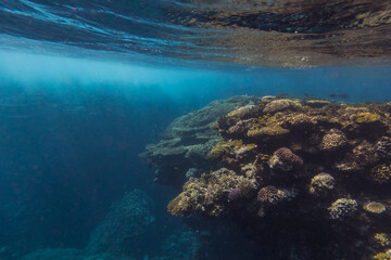 foamy water due the strong waves at the colorful reef