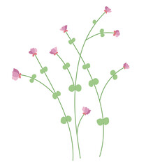 Pink wildflower in flat design. Blooming delicate springtime flower. Vector illustration isolated.