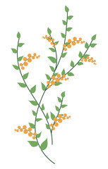Orange berries on green branch in flat design. Abstract buckthorn twigs. Vector illustration isolated.