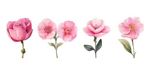 Set of floral watercolor elements. Wedding concept - flowers. Floral poster, invitation Isolated on Transparent Background PNG Generative AI