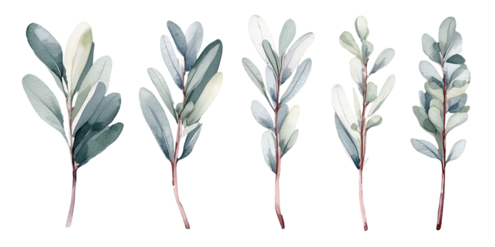 Watercolor floral set of green leaves, branches Isolated on Transparent Background PNG Generative AI