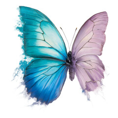 Half Dissipated Butterfly Sublimation Clipart
