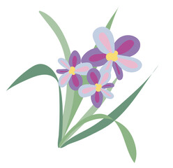 Purple blooming daisies in grass in flat design. Springtime wildflowers. Vector illustration isolated.