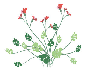 Abstract red wildflowers with leaves in flat design. Delicate blooming flowers. Vector illustration isolated.