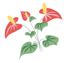 Anthurium flowers with leaves in flat design. Tropical blossoms with foliage. Vector illustration isolated.