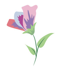 Purple flower on twig in flat design. Lily blossom with green leaves. Vector illustration isolated.
