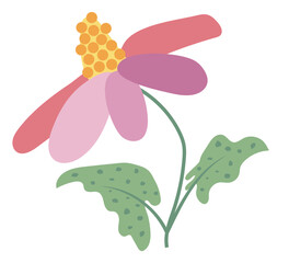 Bright blooming flower in flat design. Daisy blossom with colors petals. Vector illustration isolated.