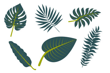 Tropic leaves set isolated on the white background. Vector illustration EPS 10