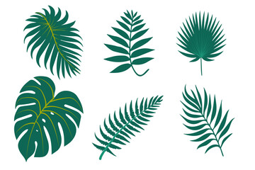 Tropic leaves set isolated on the white background. Vector illustration EPS 10