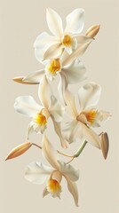 Photorealistic poster showcasing vanilla flowers in midair, vividly detailed against significant negative space to focus on their unique orchid form