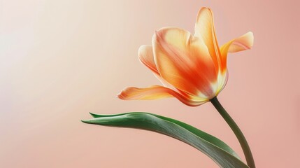 Photorealistic poster showcasing a tulip in midair, vividly detailed against significant negative space to focus on its natural beauty