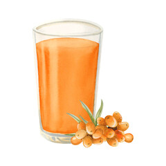 Seaberry orange juice glass with sea buckthorn berries watercolor illustration isolated on white background. Hand drawn summer herbal drink made of Hippophae. Organic natural beverage