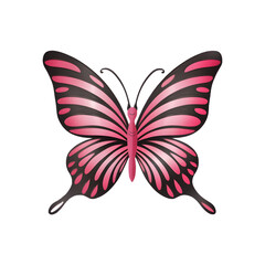Coquette Pink Butterfly  vector Sublimation Clipart