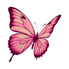 Coquette Pink Butterfly  vector Sublimation Clipart