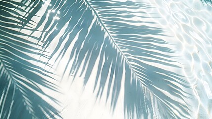 Obraz premium Palm leaves Shadow Silhouettes reflected on white sand in the ocean, Paradise, Beach, Holiday, Vacation, Tranquil, Meditation, Calm, Blue and cool tones, banner, wallpaper, HD