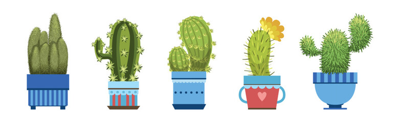 Green Spiky Cactus Plant Growing in Ornamental Ceramic Pot Vector Set