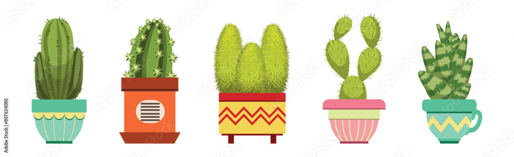 Canvas Prints Green Spiky Cactus Plant Growing in Ornamental Ceramic Pot Vector Set