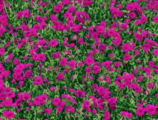 Obraz premium Flowers on the wall background, digital wall tiles or wallpaper design. cement texture on the flower background. 