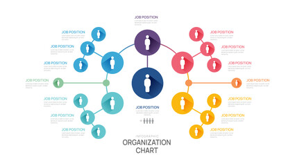 Infographic template for organization chart with business avatar icons. vector infographic for business.