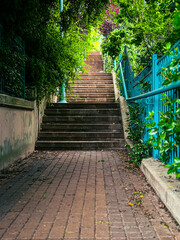 A stairway near the blue fence in the tree shadow
