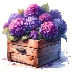 Hydrangeas Watercolor