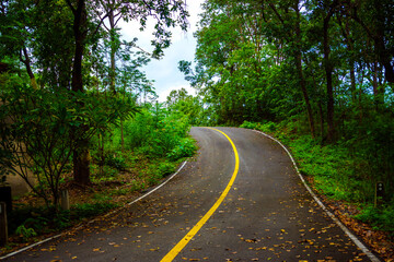 Fototapeta premium mountain road