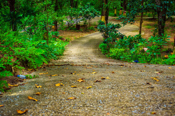 mountain road