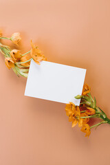 Blank paper sheet card with mockup copy space. Pale peachy orange background. Orange star flower stem
