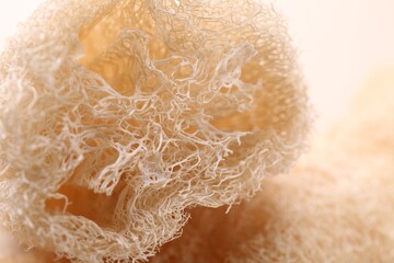 Natural loofah sponge as background, closeup view