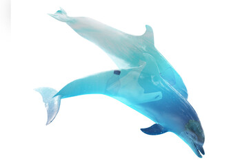 Plastic garbage in ocean and dolphins, double exposure. Environmental pollution