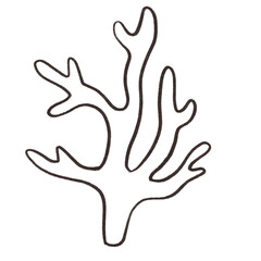 Ocean sea animal coral cartoon