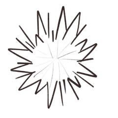 Obraz premium Ocean sea animal coral cartoon