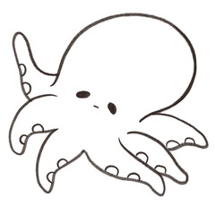 Ocean sea animal coral cartoon