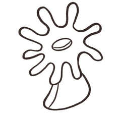 Ocean sea animal coral cartoon