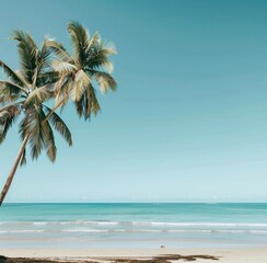 A tranquil tropical beach with palm trees swaying in the breeze, copy space