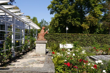 Rosengarten im Kurbereich in Bad Salzelmen in Schönebeck Sachsen-Anhalt
