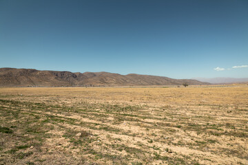 Travel through a desert in middle east, mountain landscape, clear blue sky, traces of the off-road cars and scattered grass plants