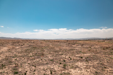 Desert Landscape, blue sky and scattered grass plants across the flat field