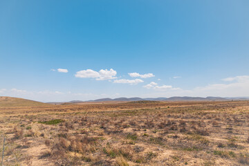 Fototapeta premium Desert landscape, blue sky and hills on the background, scattered grass plants in the desert 