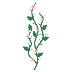 Vines Illustration Vector