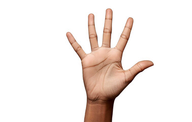Naklejka premium hand showing number five isolsted on white , open palm with fingers to sides isolsted on white,stop sign