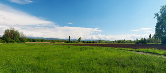 Bötzingen Richtung schwarzwald