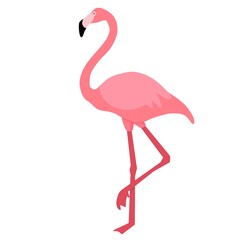 pink flamingo