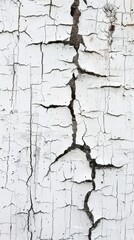 Fototapeta premium A monochrome texture of crackled paint adorns a surface, revealing complex patterns created by time. It's a muted symphony of decay and transformation.